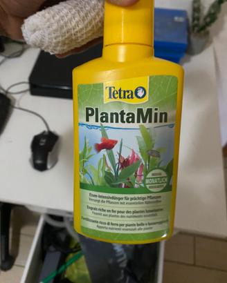 Acquario per pesci tetra 54l