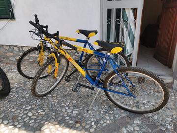 biciclette 