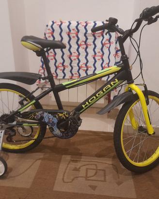 Bicicletta