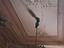 Immagine 7