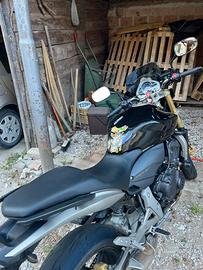 Honda Hornet