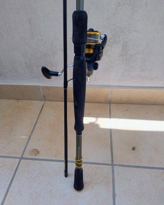 Shimano canna spinning 