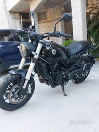 Benelli Leoncino 500
