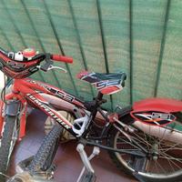 bicicletta bimbo