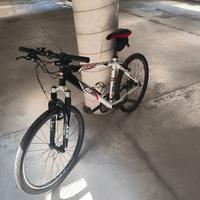 Mountain bike