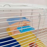 Gabbietta per criceti + pallina