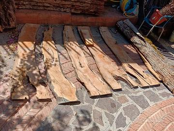 tavole di ulivo