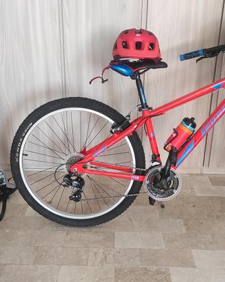 BICICLETTA MOUNTAIN Bike con porta bici da traspor