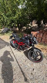 benelli bn 125