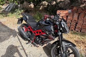 benelli bn 125