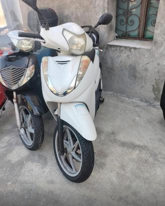 Sh 300i