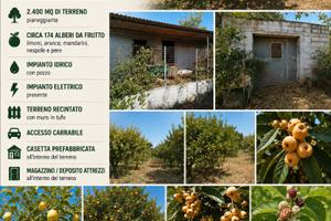 Terreno agricolo agrumeto