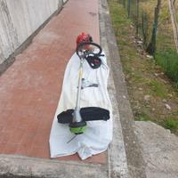 DECESPUGLIATORE  ITALIANO BLUE BIRD M34