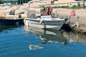 Barca Fiart Brezza 17