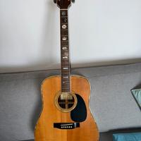 Chitarra acustica Fenix