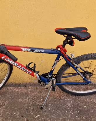 bicicletta 