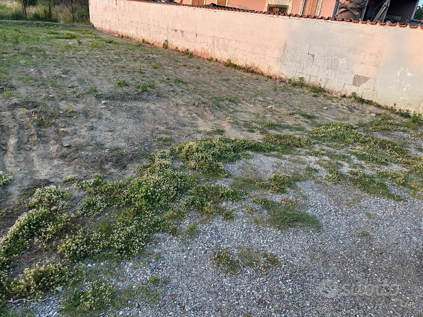 Terreno agricolo in via ripuaria - Vista 2