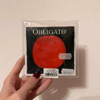 Corde violino Obligato