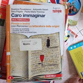 caro immaginar
