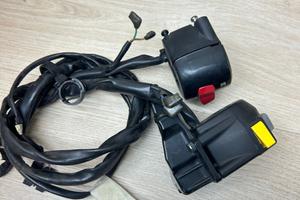 COPPIA DEVIO LUCI TMAX 530 2015 2016