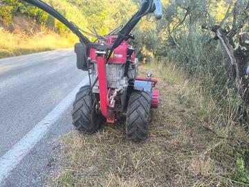 Trinciasermenti Benassi