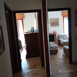 Viggiano Viale della Rinascita