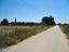 Immagine 15