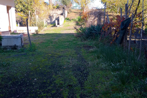 Terreno con frutti e nocciole con casa grezzo