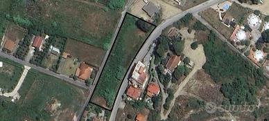 Terreno mq 4.000 Località Giungatelle Montecorice