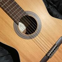 Chitarra classica José Torres + custodia + plettri