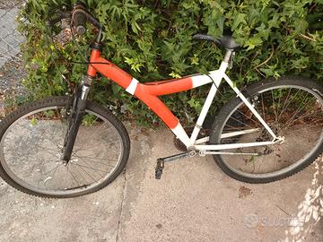 bicicletta 