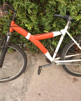 bicicletta 