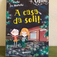 A casa da soli