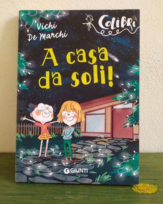 A casa da soli