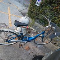 bici pedalata assistita 