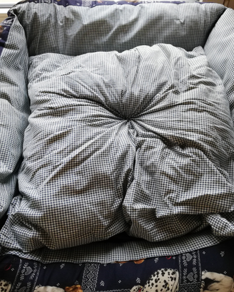 Cuccia