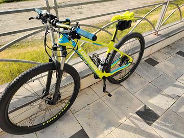 Bici MTB Torpado Ribot C 29