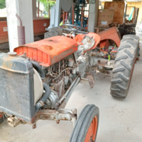 Trattore Massey Ferguson del 1954 originale