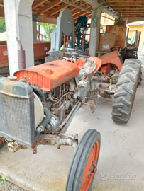 Trattore Massey Ferguson del 1954 originale