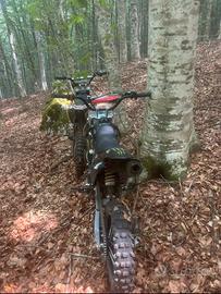 Pit bike 125