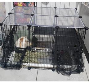 Recinto animali 