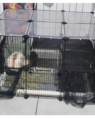 Recinto animali 