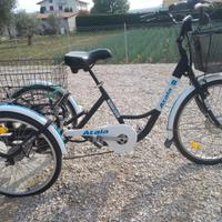 Bici cargo con pedalata assistita
