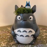 Diorama Totoro