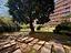 Immagine 29