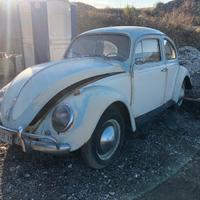 Volkswagen maggiolino 1.2 cc 11/113
