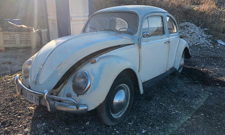 Volkswagen maggiolino 1.2 cc 11/113