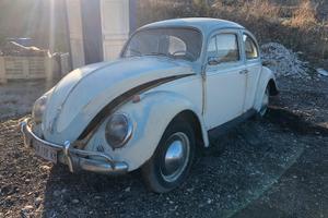 Volkswagen maggiolino 1.2 cc 11/113