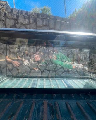 acquario 