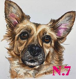 Stampa di ritratti di cani ad acquerello